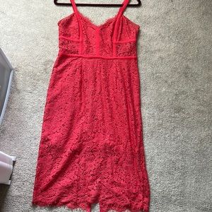 Express Red bodycon lacy midi dress